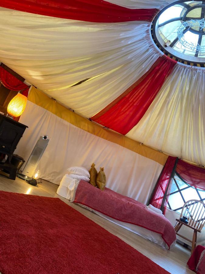 Healing Waters Sanctuary For Exclusive Private Hire And Self Catering Board, Vegetarian, Alcohol & Wifi Free Retreat In Γκλάστονμπερι Εξωτερικό φωτογραφία